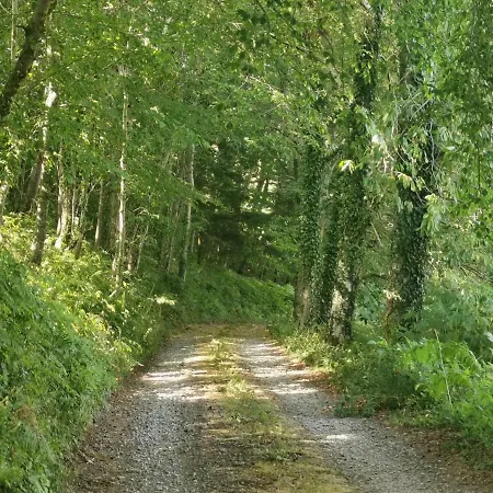 Domaine Lvd Avec Spa, Bois Et Riviere Privee *