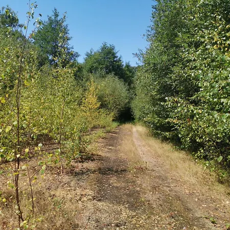 Domaine Lvd Avec Spa, Bois Et Riviere Privee