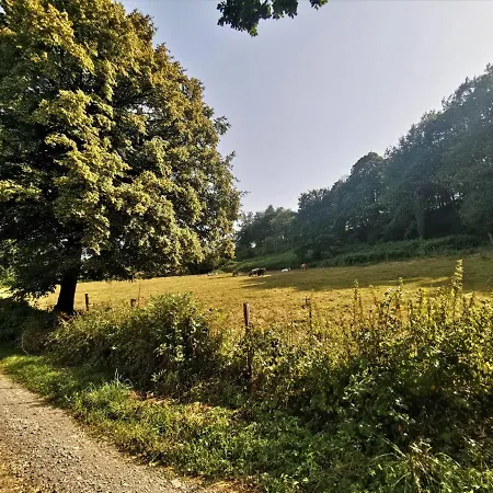 Domaine Lvd Avec Spa, Bois Et Riviere Privee * La Bloutière