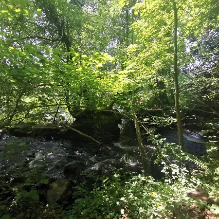 Domaine Lvd Avec Spa, Bois Et Riviere Privee La Bloutiere