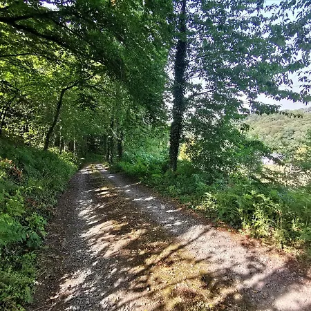 Domaine Lvd Avec Spa, Bois Et Riviere Privee * La Bloutière