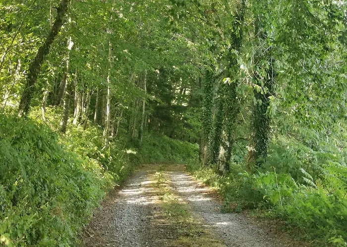 Domaine Lvd Avec Spa, Bois Et Riviere Privee *