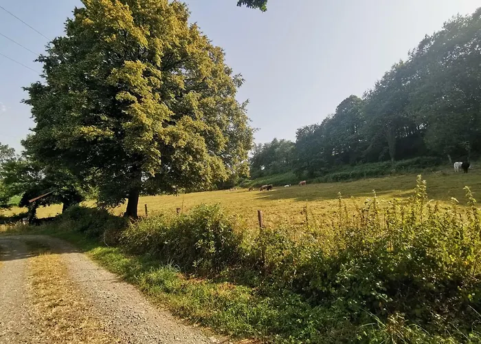Domaine Lvd Avec Spa, Bois Et Riviere Privee