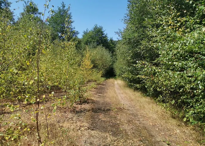 Domaine Lvd Avec Spa, Bois Et Riviere Privee