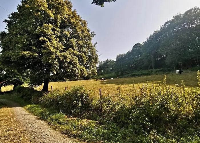 Domaine Lvd Avec Spa, Bois Et Riviere Privee * La Bloutiere