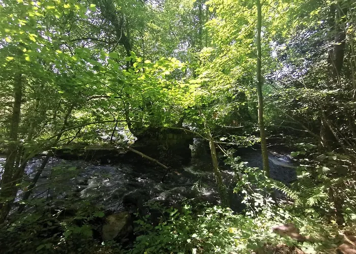 Domaine Lvd Avec Spa, Bois Et Riviere Privee La Bloutiere